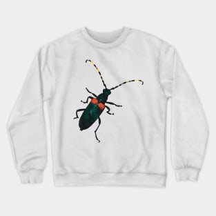 Red-Shouldered Pine Borer Beetle Crewneck Sweatshirt